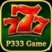 P333 Game